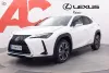 Lexus UX 250h Business Thumbnail 1